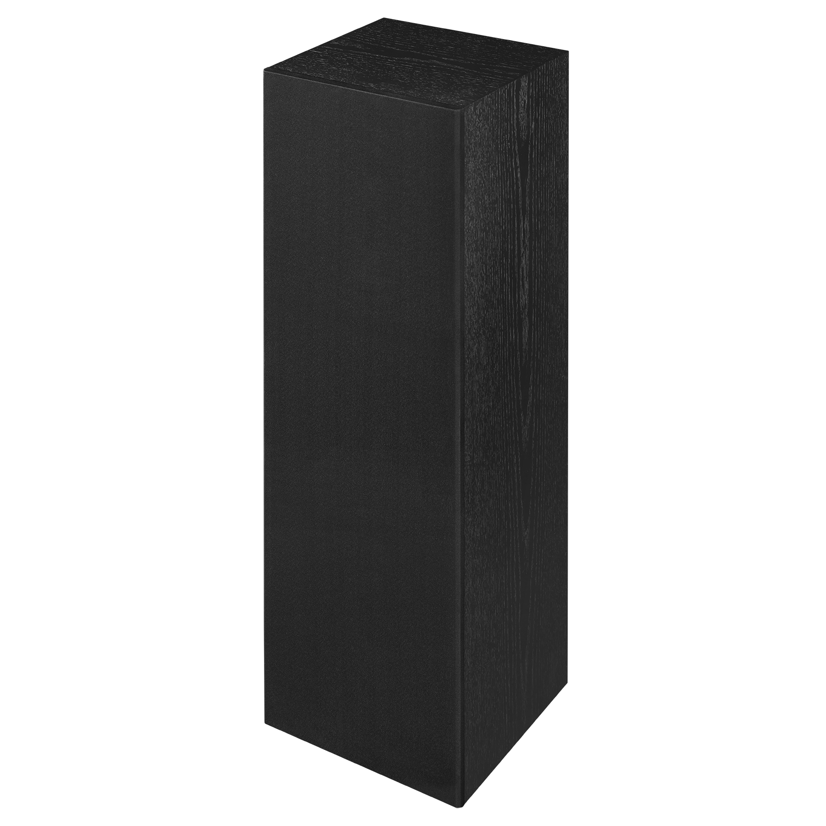 SCL-10XL - Black - 2 -way Dual 10 -inch Built-In Loudspeaker - Detailshot 4